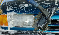 Aliquam erat volutpat