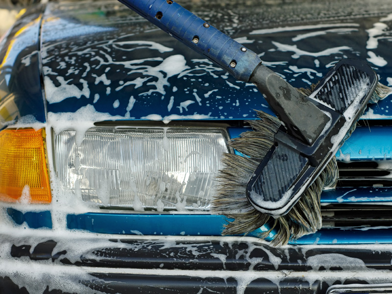 Aliquam erat volutpat